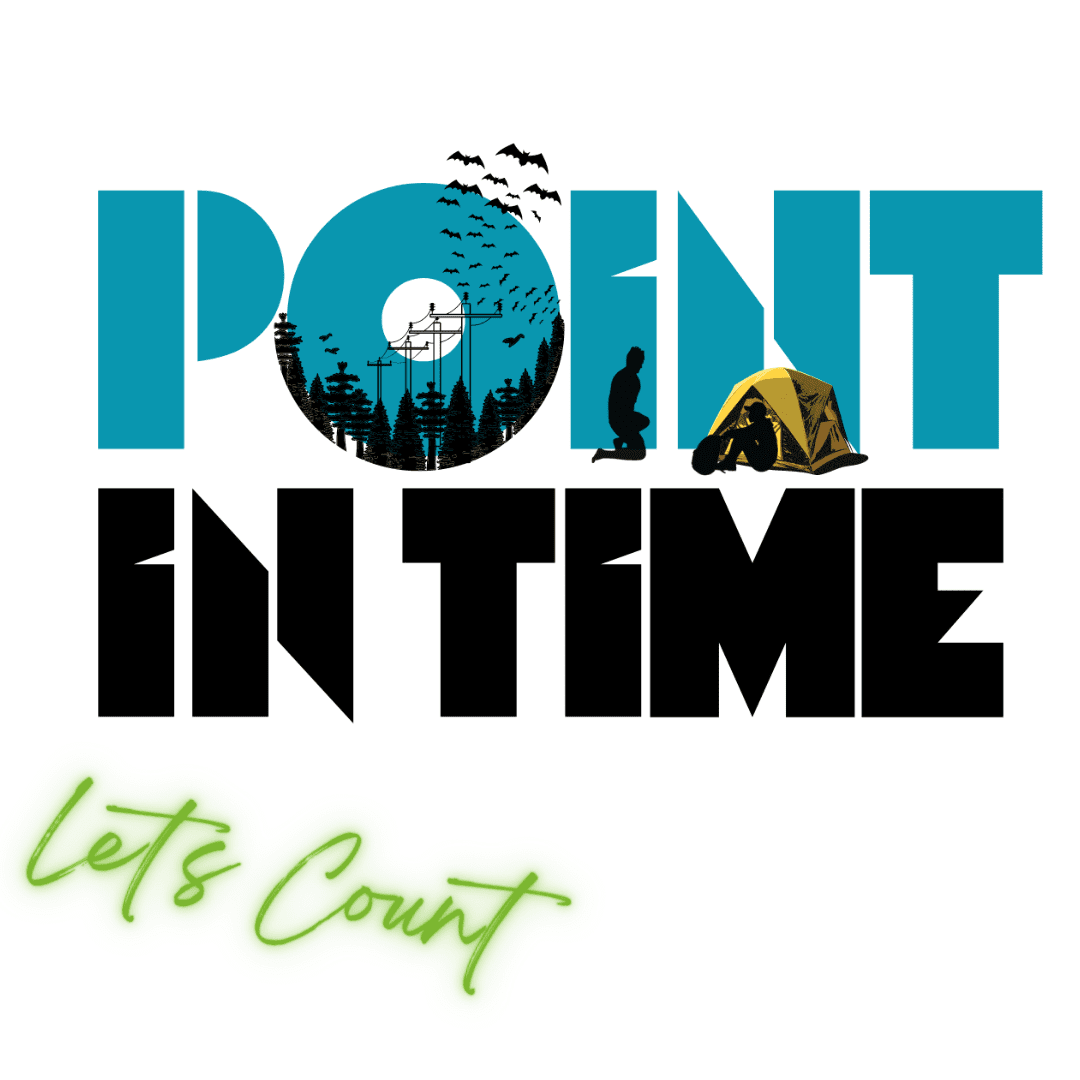 PIT Count logo with text that says Let's Count